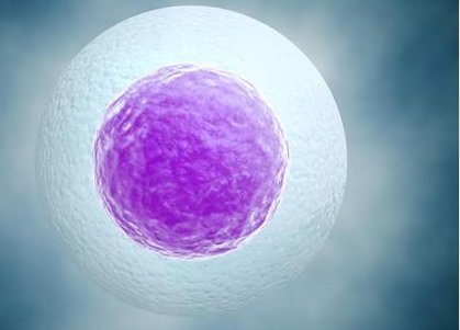 人工授精的植入步骤包括哪几步？