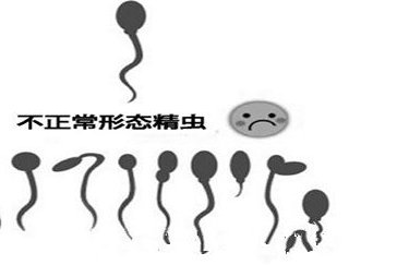 泰国三代试管婴儿一般几次成功？科学解读！