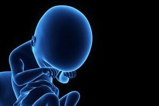 厦门雪藏卵要多少钱？哪些医院可以雪藏卵？